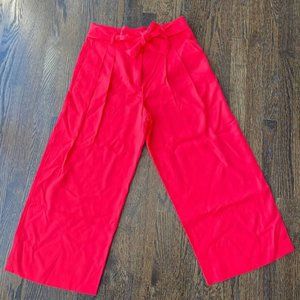 Ann Taylor Pleated Wide Leg Crop Pants